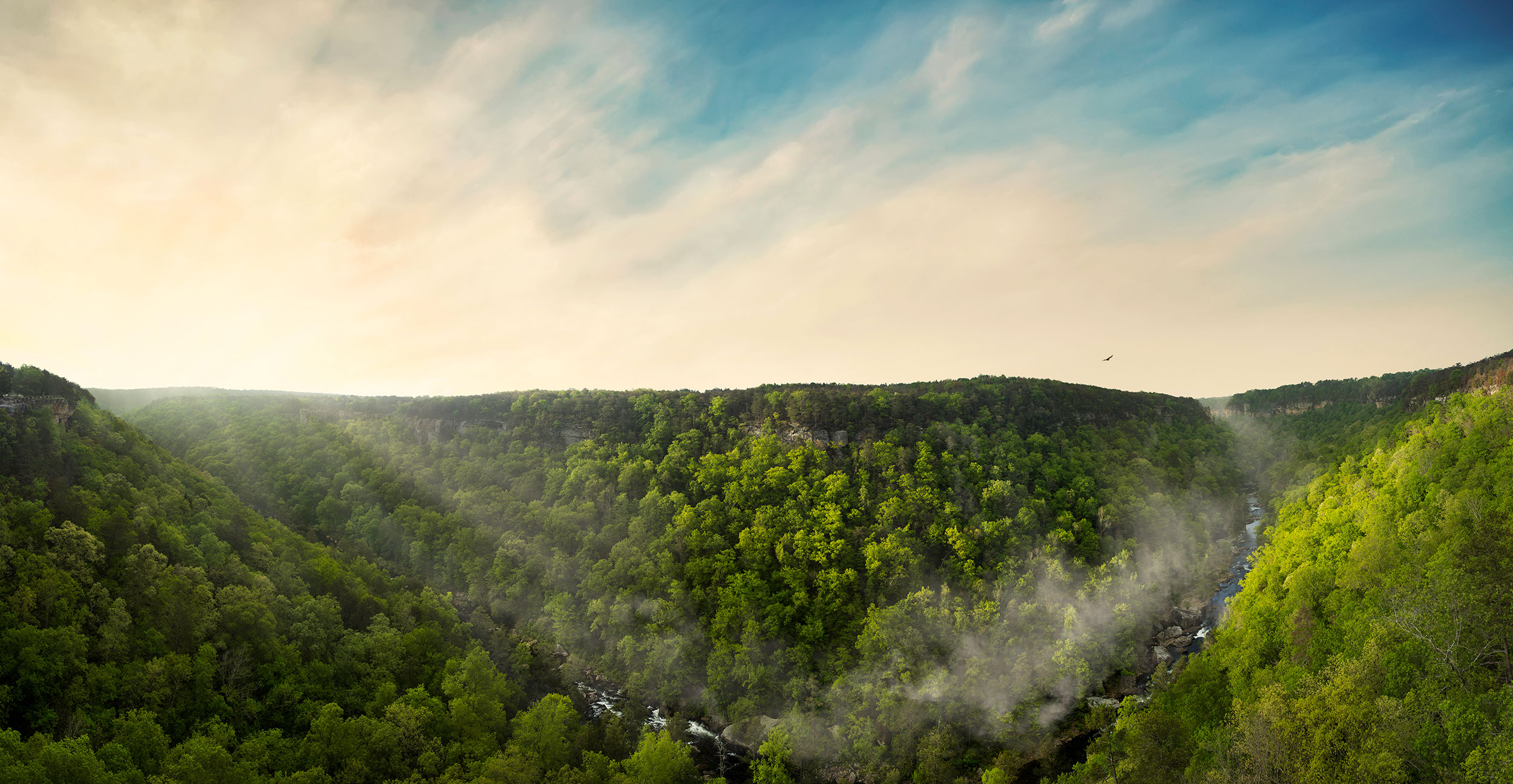 JW_Intermark_Digital_LRC_Panorama_w5_RGB